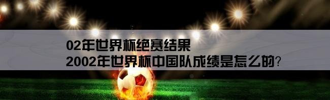 02年世界杯绝赛结果,2002年世界杯中国队成绩是怎么的？