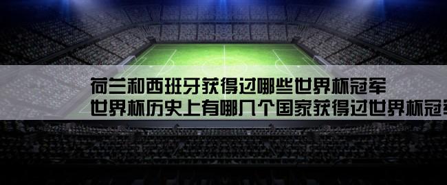 荷兰和西班牙获得过哪些世界杯冠军,世界杯历史上有哪几个国家获得过世界杯冠军