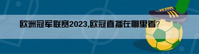 欧洲冠军联赛2023,欧冠直播在哪里看？