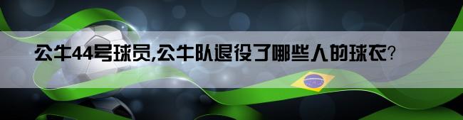 公牛44号球员,公牛队退役了哪些人的球衣？