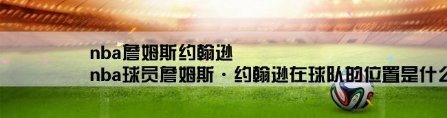 nba詹姆斯约翰逊,nba球员詹姆斯·约翰逊在球队的位置是什么？