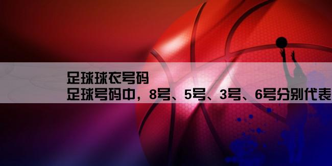 足球球衣号码,足球号码中，8号、5号、3号、6号分别代表什么含义？