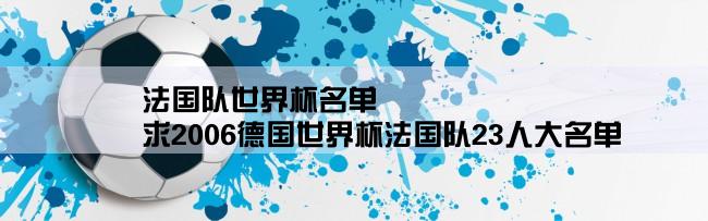 法国队世界杯名单,求2006德国世界杯法国队23人大名单