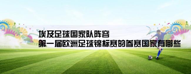 埃及足球国家队阵容,第一届欧洲足球锦标赛的参赛国家有哪些