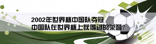 2002年世界杯中国队夺冠,中国队在世界杯上获得过的荣誉？