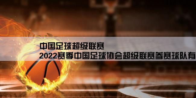 中国足球超级联赛,2022赛季中国足球协会超级联赛参赛球队有哪些