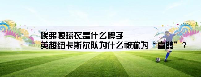 埃弗顿球衣是什么牌子,英超纽卡斯尔队为什么被称为“喜鹊”？