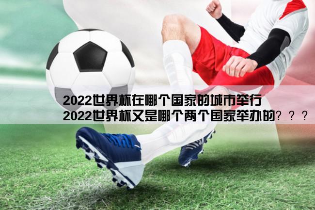 2022世界杯在哪个国家的城市举行,2022世界杯又是哪个两个国家举办的？？？？？