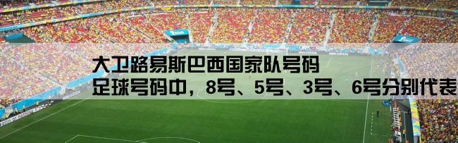 大卫路易斯巴西国家队号码,足球号码中，8号、5号、3号、6号分别代表什么含义？