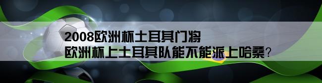 2008欧洲杯土耳其门将,欧洲杯上土耳其队能不能派上哈桑？