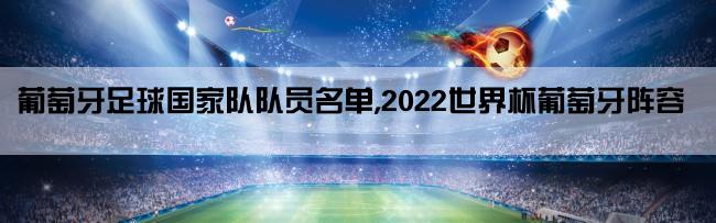 葡萄牙足球国家队队员名单,2022世界杯葡萄牙阵容