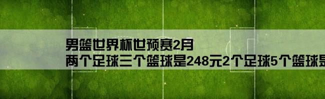 男篮世界杯世预赛2月,两个足球三个篮球是248元2个足球5个篮球是404元问每个足球多少元每个篮球多少元