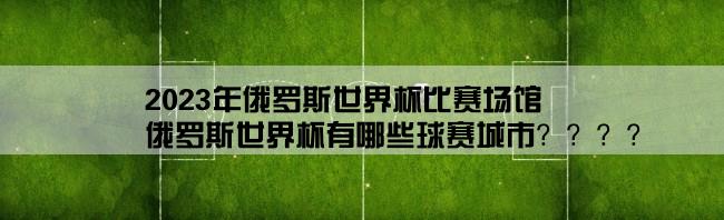 2023年俄罗斯世界杯比赛场馆,俄罗斯世界杯有哪些球赛城市？？？？