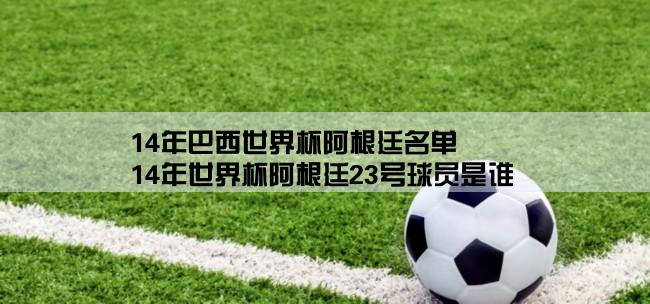 14年巴西世界杯阿根廷名单,14年世界杯阿根廷23号球员是谁