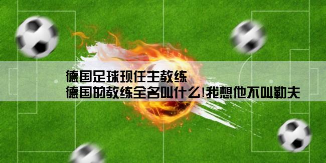 德国足球现任主教练,德国的教练全名叫什么!我想他不叫勒夫,因为我们叫他洛维,他很喜欢穿白色上衣和黑色西裤,最好有祥细资料