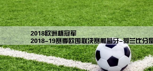 2018欧洲杯冠军,2018-19赛季欧围联决赛匍萄牙-荷兰比分是多少？