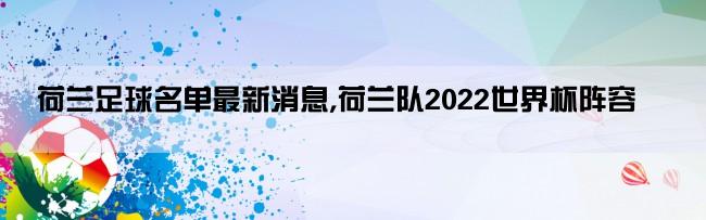 荷兰足球名单最新消息,荷兰队2022世界杯阵容