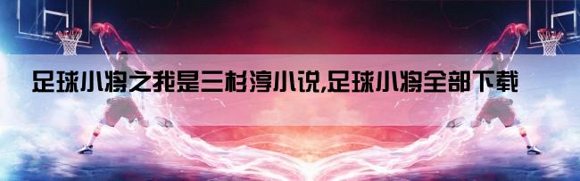 足球小将之我是三杉淳小说,足球小将全部下载