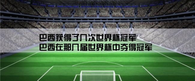 巴西获得了几次世界杯冠军,巴西在那几届世界杯中夺得冠军