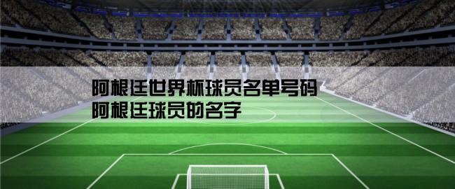 阿根廷世界杯球员名单号码,阿根廷球员的名字,号码,位置(这届世界杯为标准)