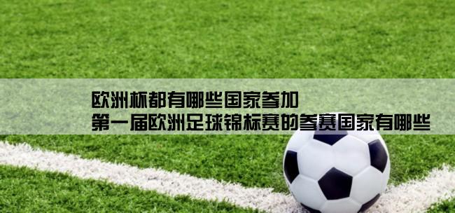 欧洲杯都有哪些国家参加,第一届欧洲足球锦标赛的参赛国家有哪些