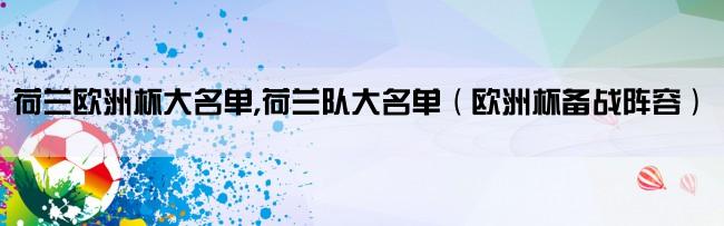 荷兰欧洲杯大名单,荷兰队大名单（欧洲杯备战阵容）