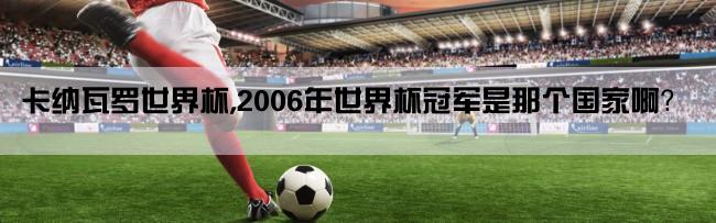 卡纳瓦罗世界杯,2006年世界杯冠军是那个国家啊？