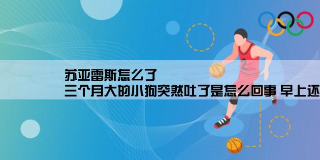 苏亚雷斯怎么了,三个月大的小狗突然吐了是怎么回事 早上还好好的一到下午突然不行了