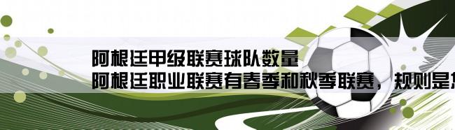 阿根廷甲级联赛球队数量,阿根廷职业联赛有春季和秋季联赛，规则是怎样的呢