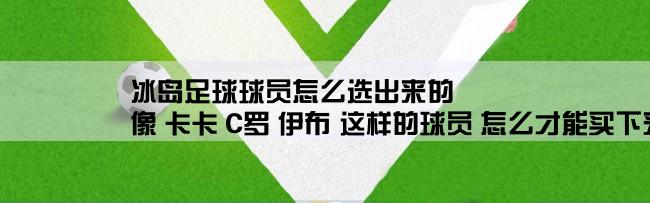 冰岛足球球员怎么选出来的,像 卡卡 C罗 伊布 这样的球员 怎么才能买下来