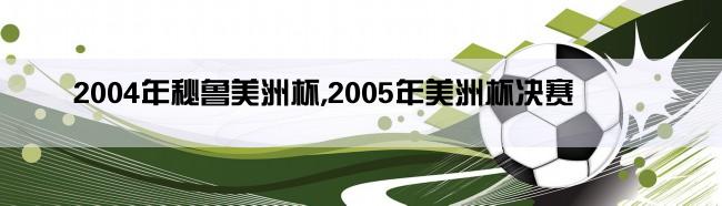 2004年秘鲁美洲杯,2005年美洲杯决赛