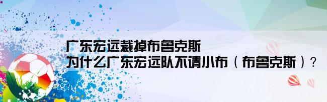 广东宏远裁掉布鲁克斯,为什么广东宏远队不请小布（布鲁克斯）？