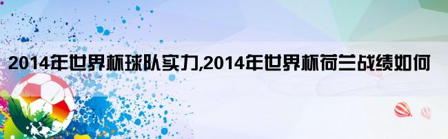 2014年世界杯球队实力,2014年世界杯荷兰战绩如何