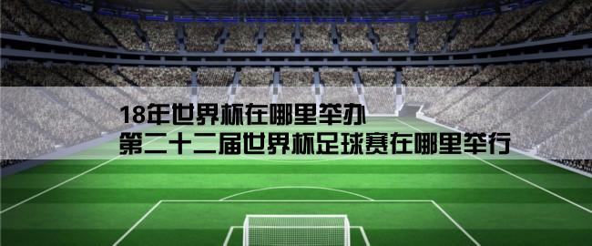 18年世界杯在哪里举办,第二十二届世界杯足球赛在哪里举行