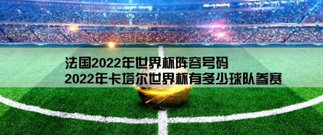 法国2022年世界杯阵容号码,2022年卡塔尔世界杯有多少球队参赛