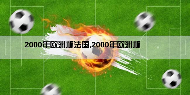 2000年欧洲杯法国,2000年欧洲杯