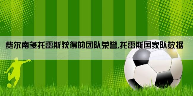 费尔南多托雷斯获得的团队荣誉,托雷斯国家队数据