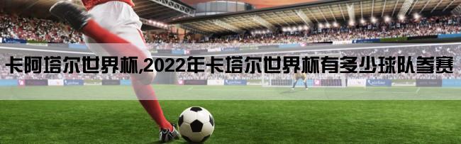 卡阿塔尔世界杯,2022年卡塔尔世界杯有多少球队参赛