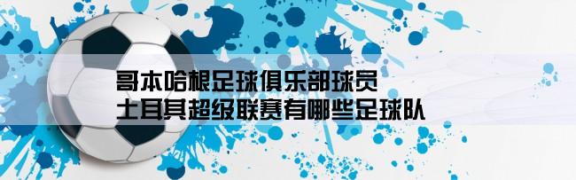 哥本哈根足球俱乐部球员,土耳其超级联赛有哪些足球队