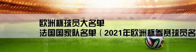 欧洲杯球员大名单,法国国家队名单（2021年欧洲杯参赛球员名单）