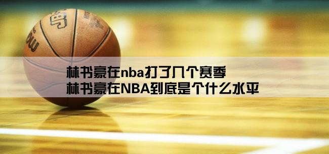 林书豪在nba打了几个赛季,林书豪在NBA到底是个什么水平