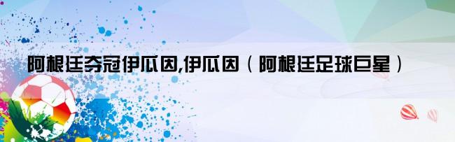 阿根廷夺冠伊瓜因,伊瓜因（阿根廷足球巨星）