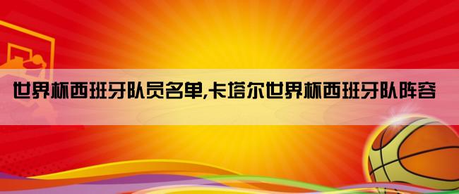 世界杯西班牙队员名单,卡塔尔世界杯西班牙队阵容