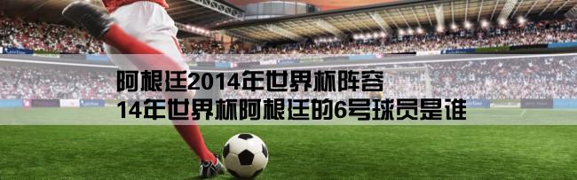 阿根廷2014年世界杯阵容,14年世界杯阿根廷的6号球员是谁