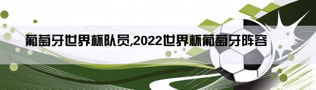 葡萄牙世界杯队员,2022世界杯葡萄牙阵容