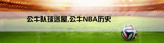 公牛队球迷屋,公牛NBA历史