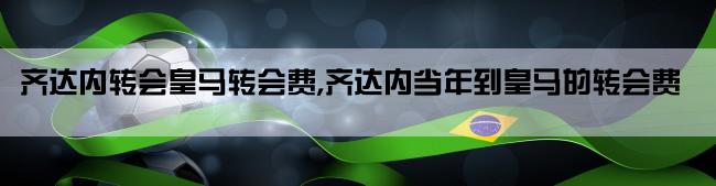 齐达内转会皇马转会费,齐达内当年到皇马的转会费