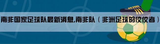 南非国家足球队最新消息,南非队（非洲足球的佼佼者）