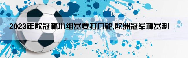 2023年欧冠杯小组赛要打几轮,欧洲冠军杯赛制