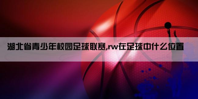 湖北省青少年校园足球联赛,rw在足球中什么位置